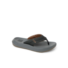 Cruiser