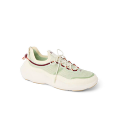 Shorebreak TRV