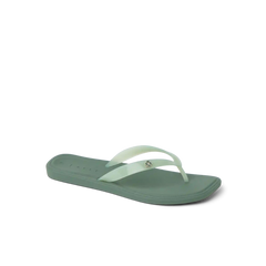 Solaye